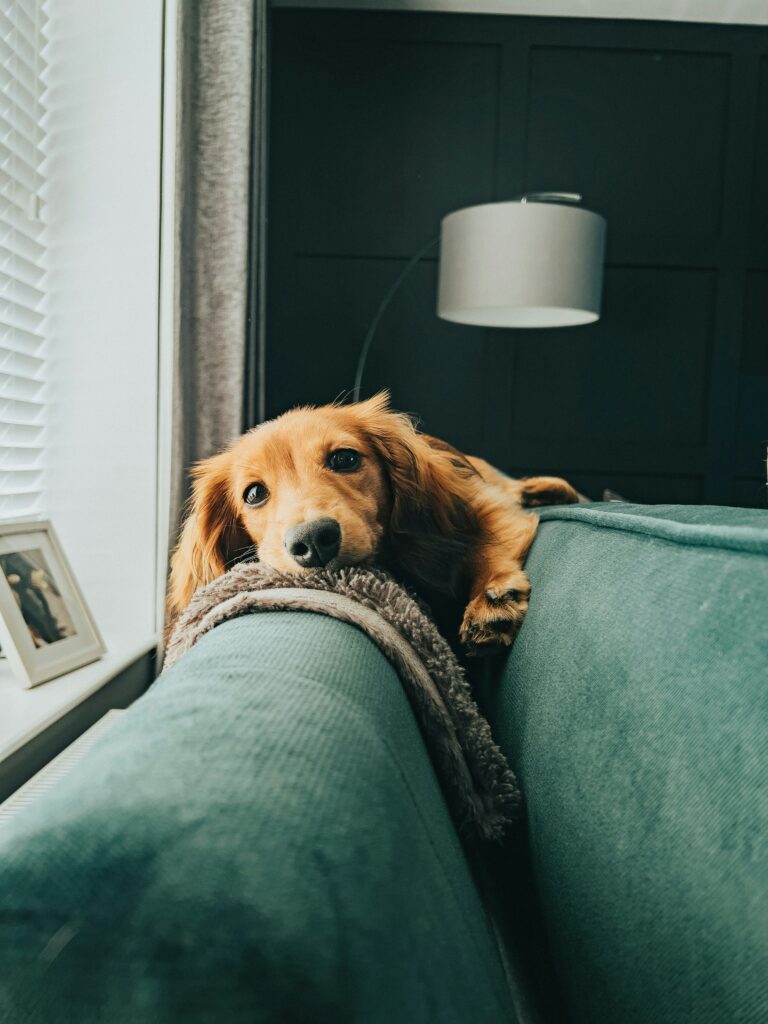 kyle-mackie-WEtBlBOTGoE-unsplash-2